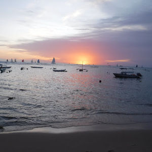 Meet your Posher, Maeva